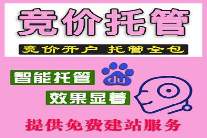 SEM推广在零售行业的运用案例